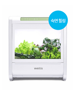 웰스팜 숙면 힐링 6구