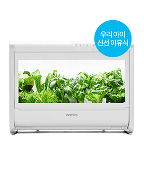웰스팜 우리 아이 신선 이유식 12구