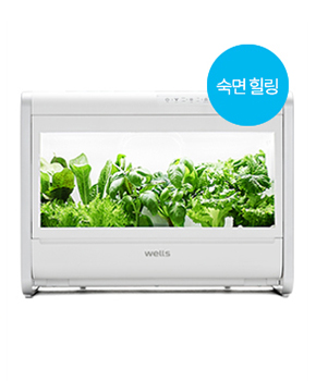웰스팜 숙면 힐링 12구