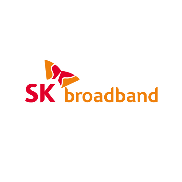 SKB_100Mbps