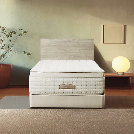 쿠쿠 레스티노 프레임 SS CRF-D01TMPBSS